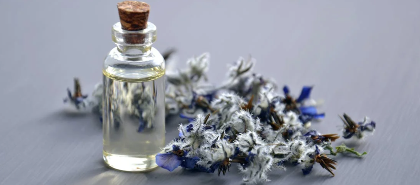 Codice sconto Brasty