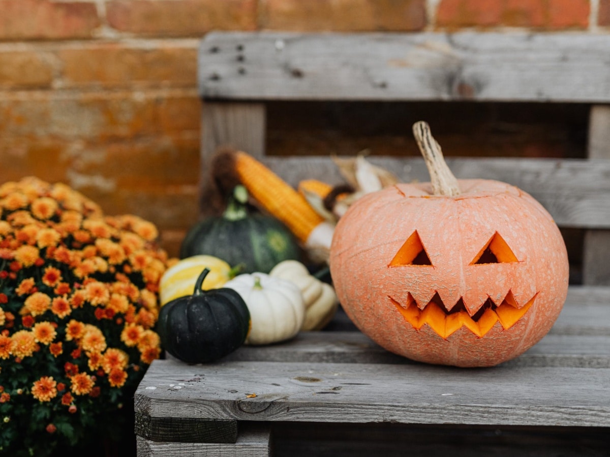 codice-sconto-widilo-halloween