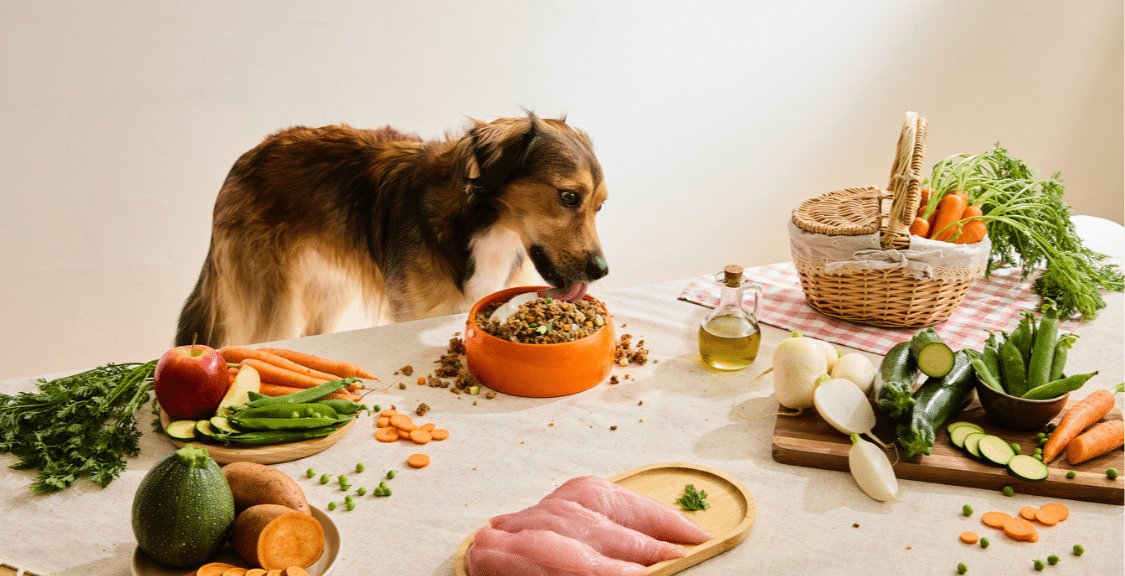 Dogfy Diet