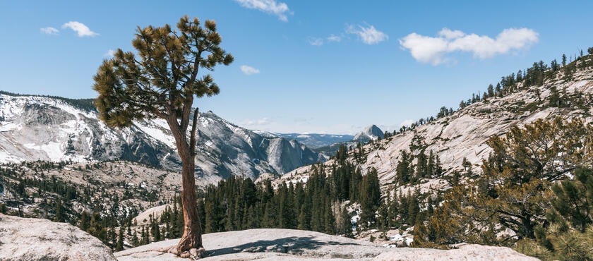 Codice sconto Expedia