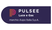 Logo Pulsee