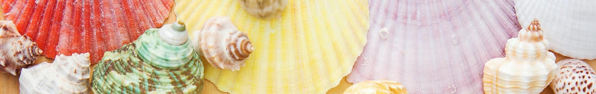 saldi-estivi-offerte